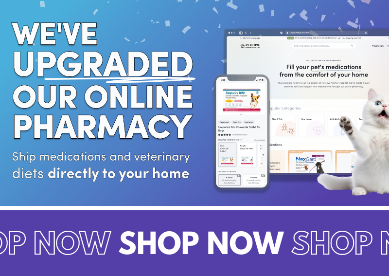 Carousel Slide 1: Check out our new and improved online pet pharmacy